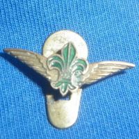 Cserkészrepülő gomblyukjelvény